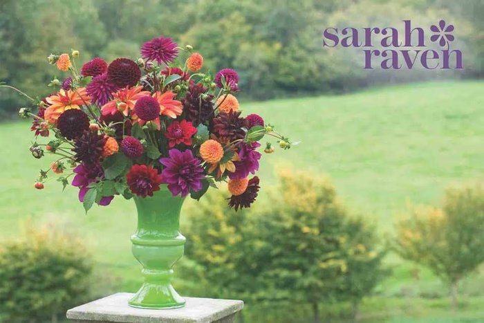 Image of Win the Venetian Dahlia Collection from Sarah Raven, worth &pound69.95
