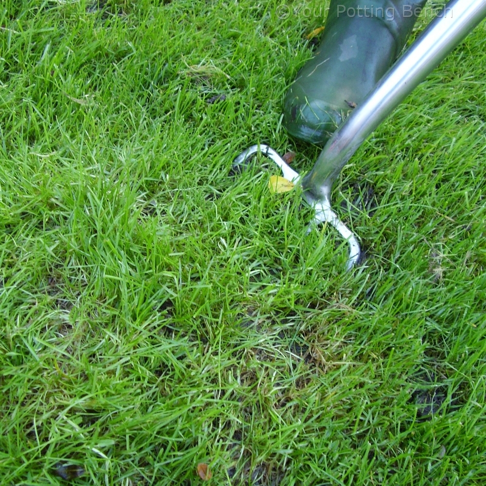 Step 3 of How to keep a lawn drained
