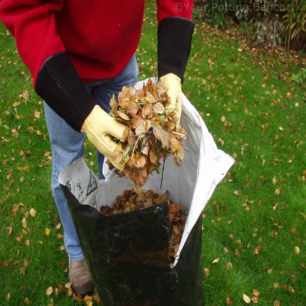 Step 2 of 4How to control Leaf Mould