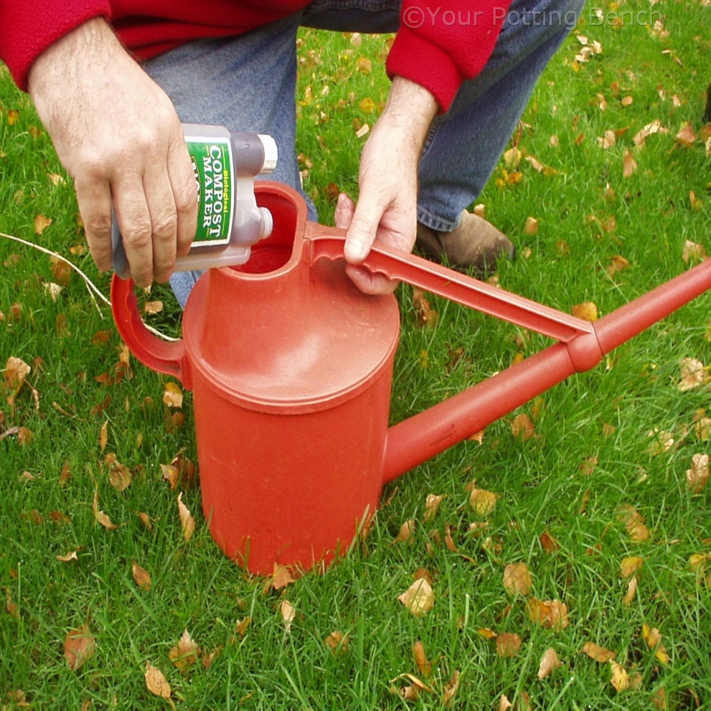 Step 3 of 4How to control Leaf Mould