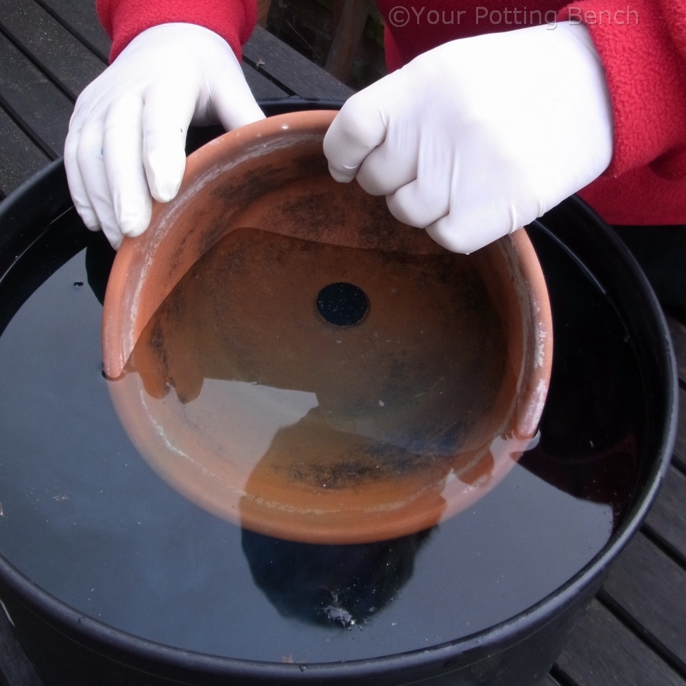 Step 3 of How to clean your pots