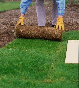 Step 2 of 4How to turf a lawn 