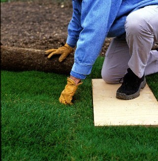 Step 4 of 4How to turf a lawn 