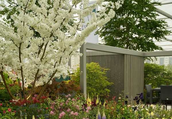 Image for RHS Flower Shows to Enjoy in 2022